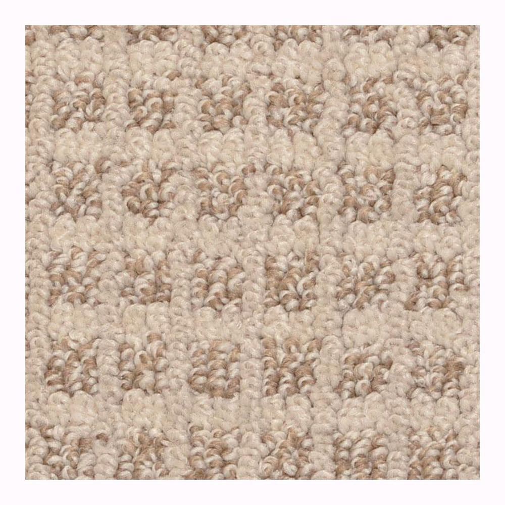 Dixie Home Shallow Hill Carpet in Tuscan Taupe, , large