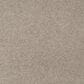 Mohawk Quality Life Carpet in Clam Island, , large