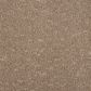 Mohawk Mineral Effects Carpet in Copper, , large