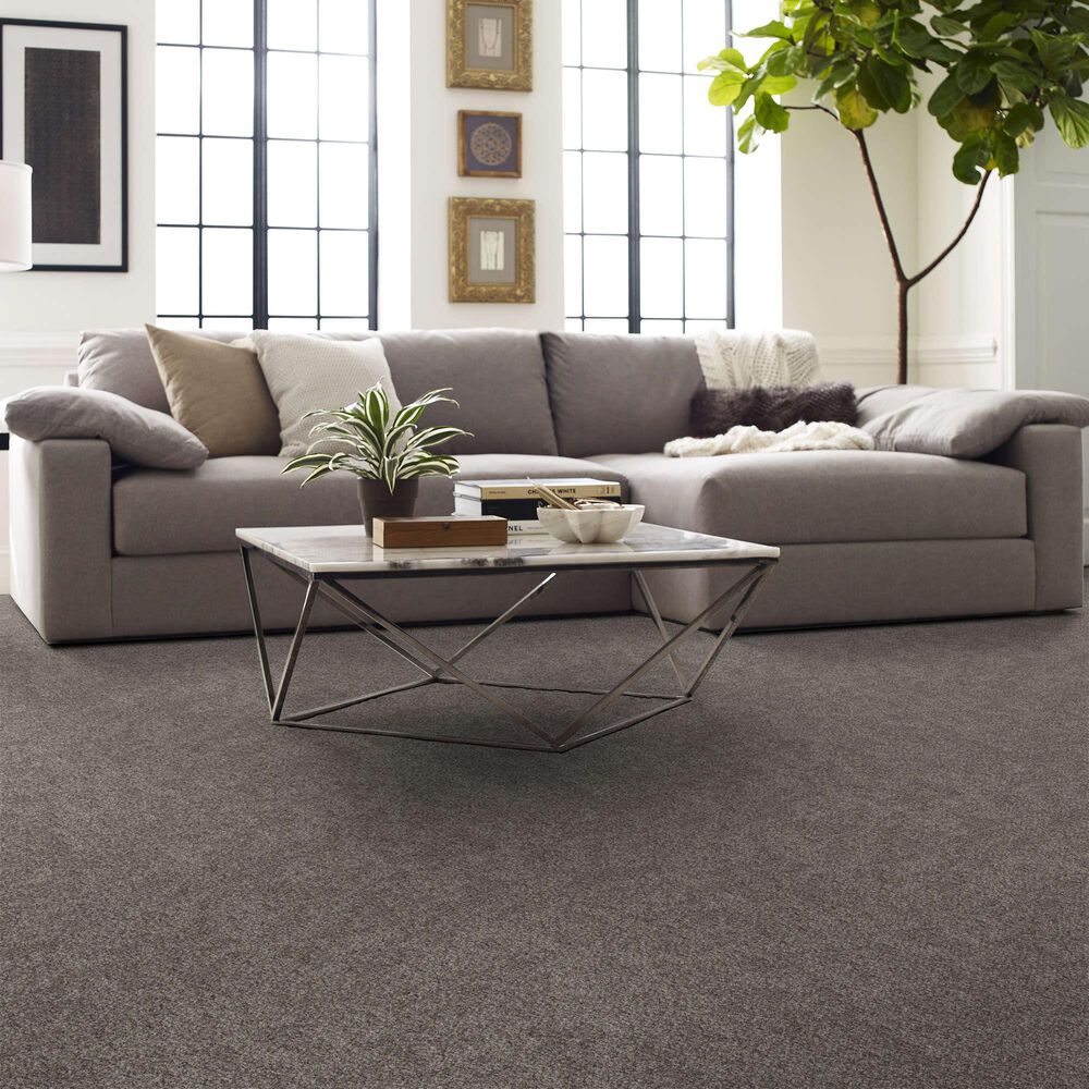 Shaw Grand Outlook Carpet in Hammerhead, , large