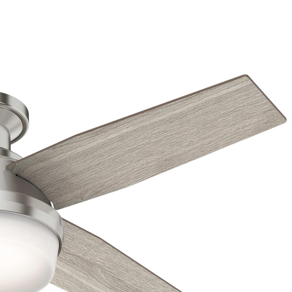 Hunter Dempsey Low Profile 44&quot; Ceiling Fan with Light Gray Oak Blades in Brushed Nickel, , large