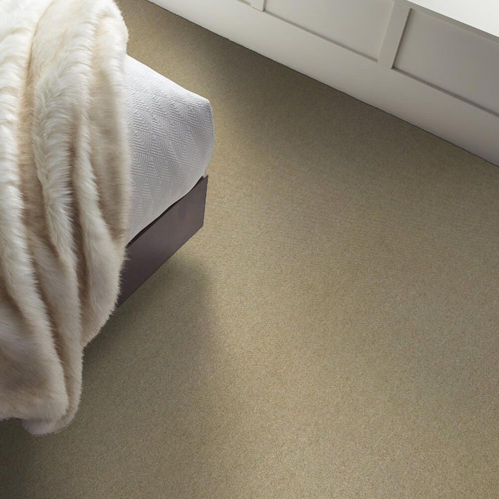Shaw Counterpart 24&quot; x 24&quot; Carpet Tile in Copy Cat, , large