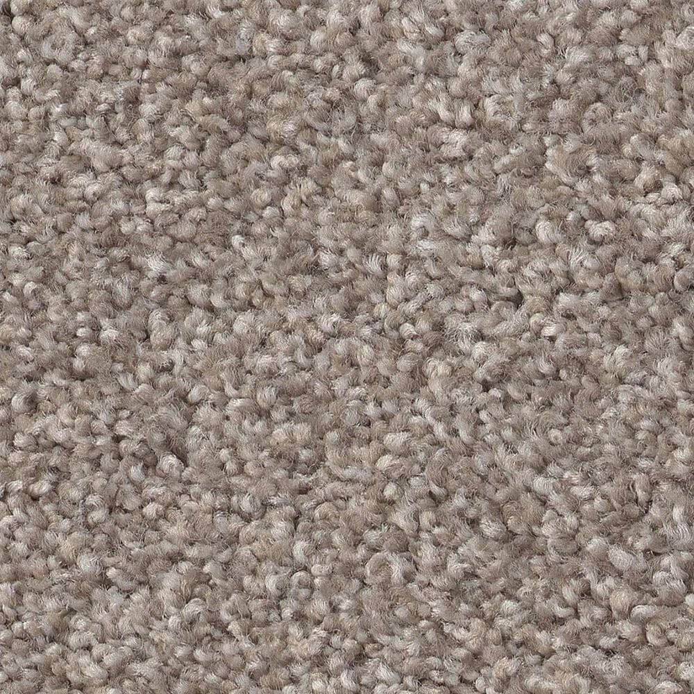 Shaw Live On Comfort Carpet in Afterglow, , large
