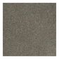 Shaw Phenomenal Carpet in Pewter, , large