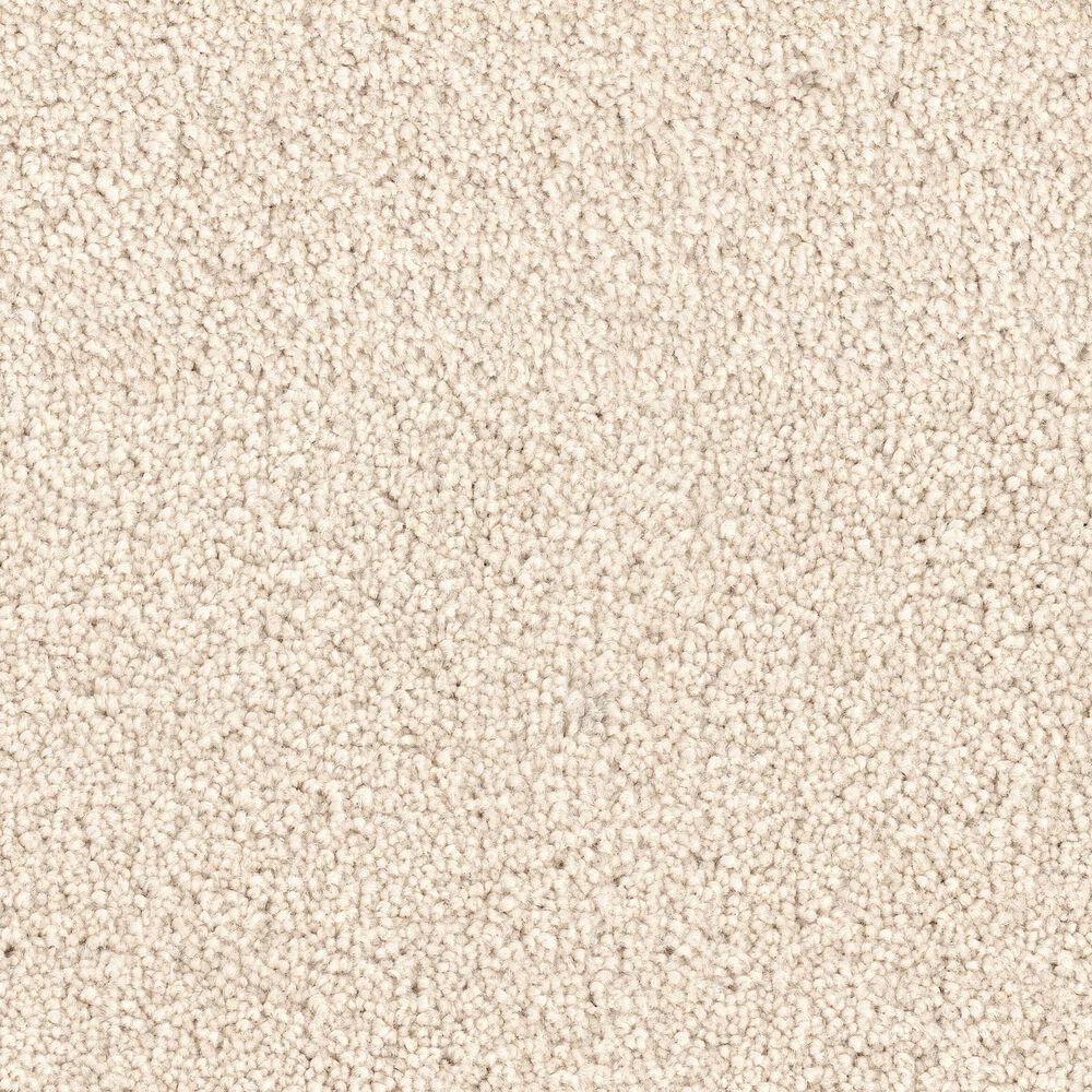 Dixie Home Big Splash Carpet in Ray, , large