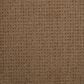 Dixie Home Galliard Carpet in Stonebriar, , large