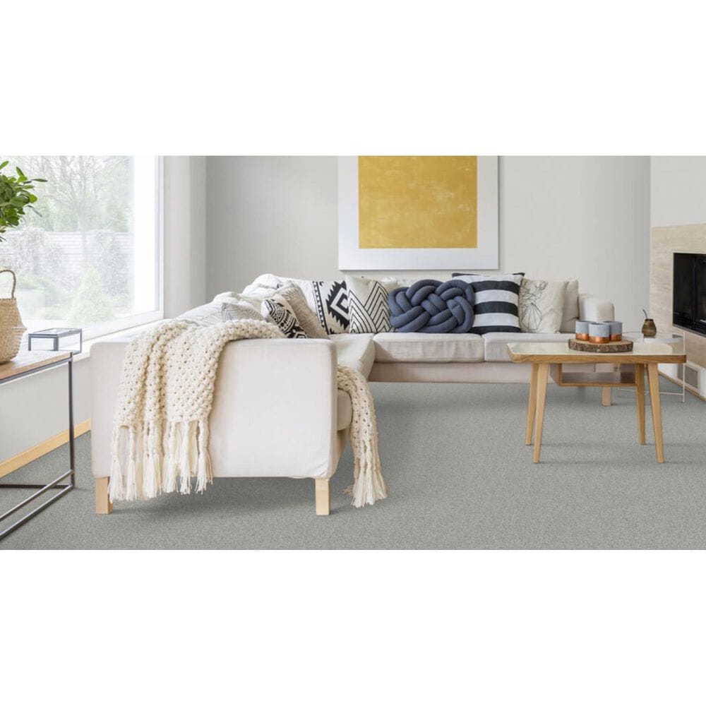 Dixie Home Devotion Carpet in Cinderblock, , large