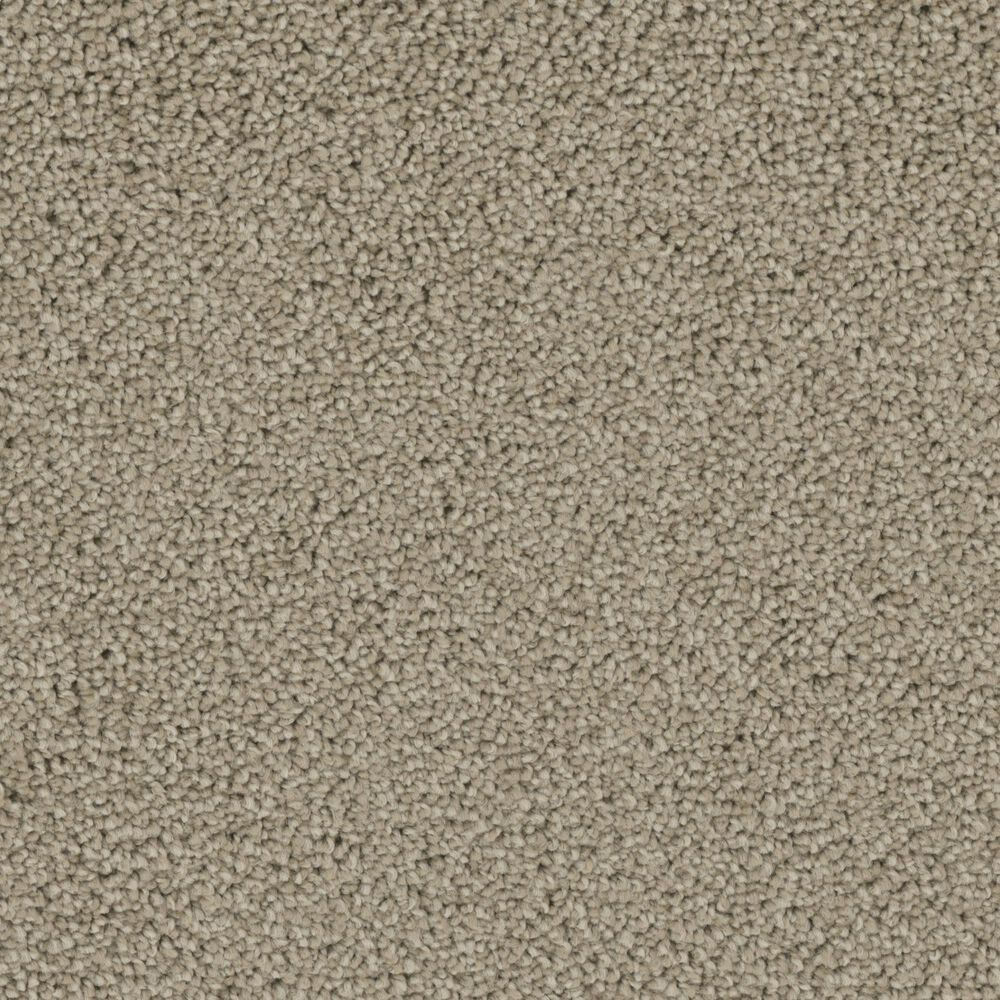 Phenix Balboa Carpet in Palm Bark, , large