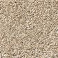 Shaw Tonal Comfort Blue Carpet in Walk on The Beach, , large