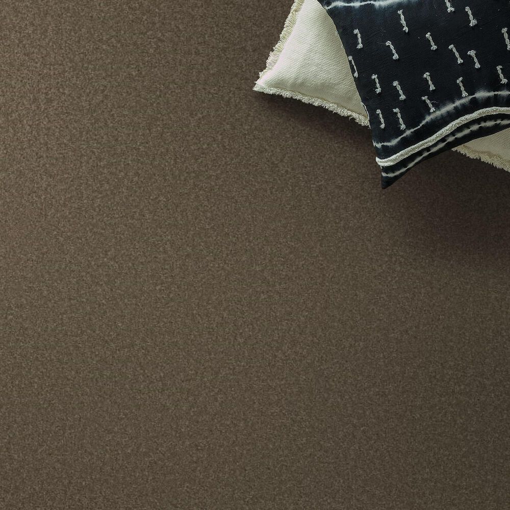 Anderson Tuftex Elegant Beauty Carpet in Moonbeam, , large