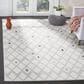 Safavieh Adirondack ADR132B-4 4" x 6" Ivory and Grey Area Rug, , large