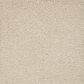 Mohawk Pleasant Touch Carpet in Romano, , large