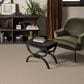Anderson Tuftex Curator Carpet in Trustee, , large