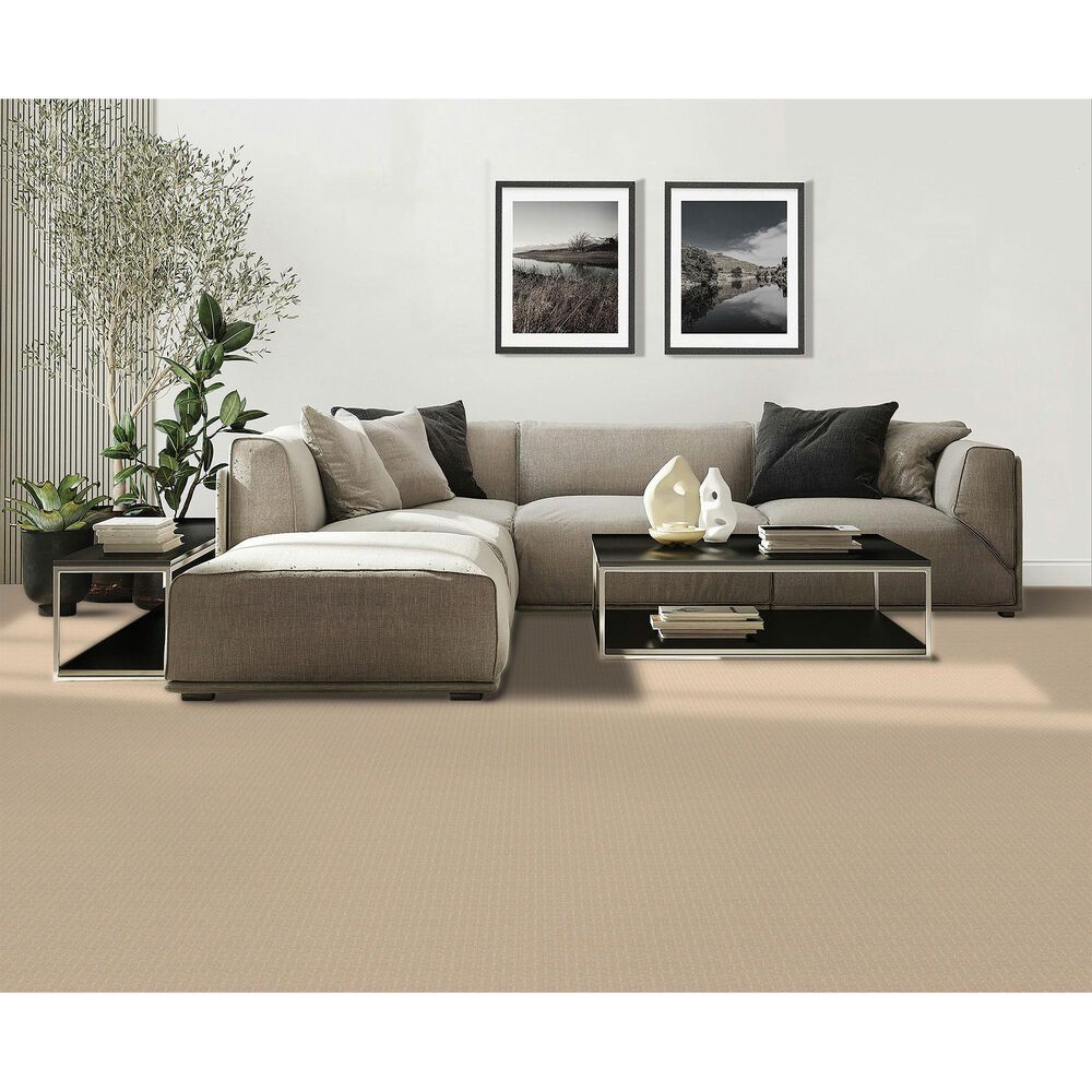 Mohawk Quality Surface Carpet in Tradition, , large