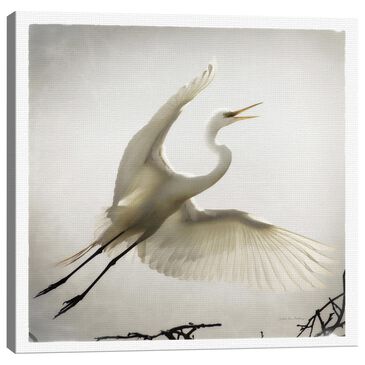 Lumaprints Emergence  20" x 20" Wall Art in Multicolor, , large