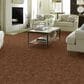 Anderson Tuftex Caress Free Spirit Carpet in Sunbaked, , large