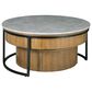 Ashley Fridley 2-Piece Nesting Coffee Table Set in Natural, Gray and Black, , large