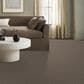 Anderson Tuftex Charismatic Carpet in Arrowhead, , large