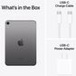 Apple iPad Mini Wi-Fi + Cellular 256GB - Space Gray with 2-Year AppleCare+, , large