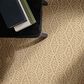 Anderson Tuftex Crochet Carpet in Ginger Tea, , large