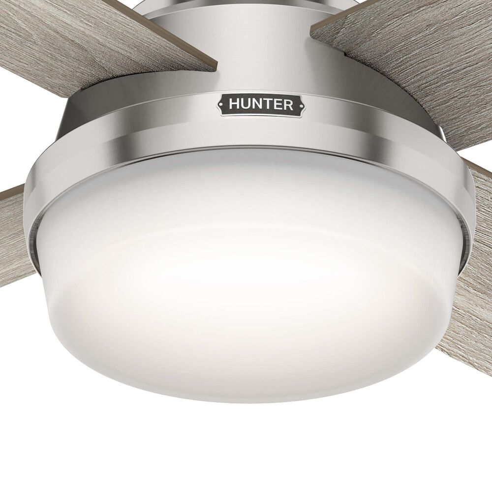 Hunter Dempsey Low Profile 52&quot; Ceiling Fan with Light Gray Oak Blades in Brushed Nickel, , large