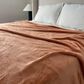 Peking Handicraft 90" x 108" Queen Plush Blanket in Tan Clay, , large