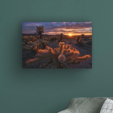 Timberlake Inigo Cia "Cholla Garden" 16" x 24" Canvas Art, , large