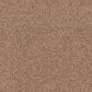 Dixie Home Gentle Wind Carpet in Sunset, , large