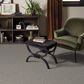 Anderson Tuftex Curator Carpet in Author, , large
