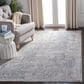 Safavieh Dream DRM407F 5" x 8" Grey and Ivory Area Rug, , large