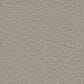 Phenix Vista Gold Carpet in Countryside, , large