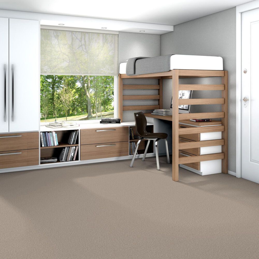 Shaw You Got This III Carpet in Subtle Clay, , large