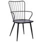 Blue River Parisa Side Chair in Black, , large