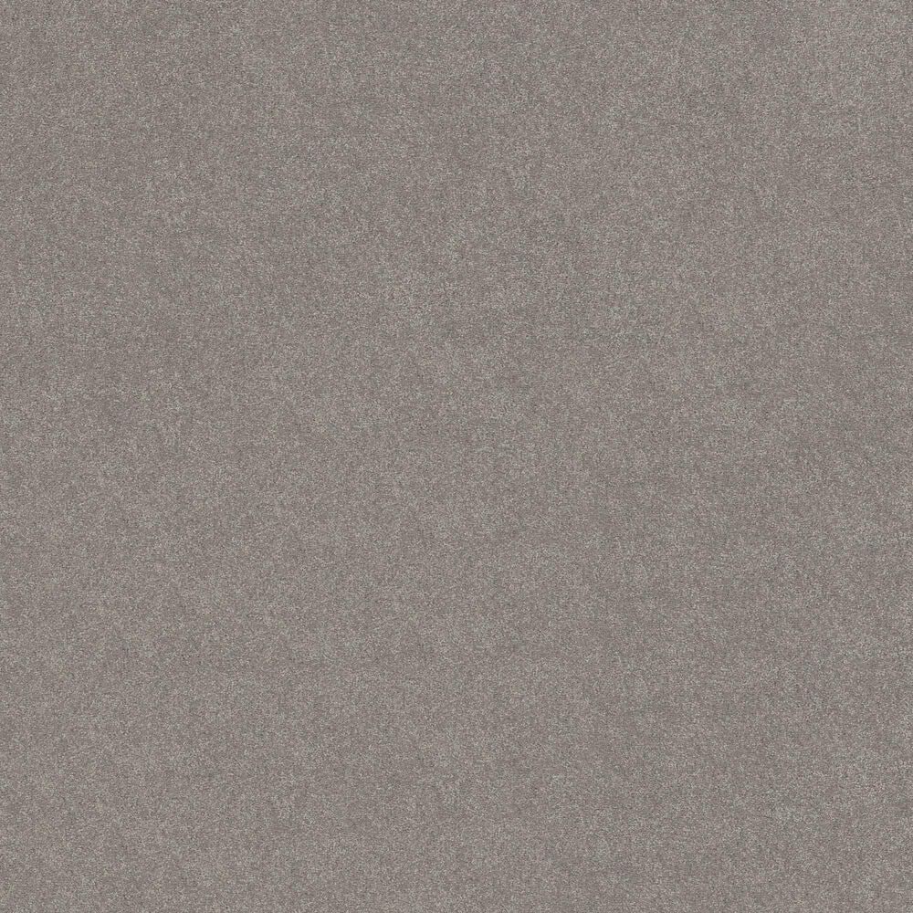 Shaw Easy Spirit II 12&#39; Carpet in Dusty Trail, , large