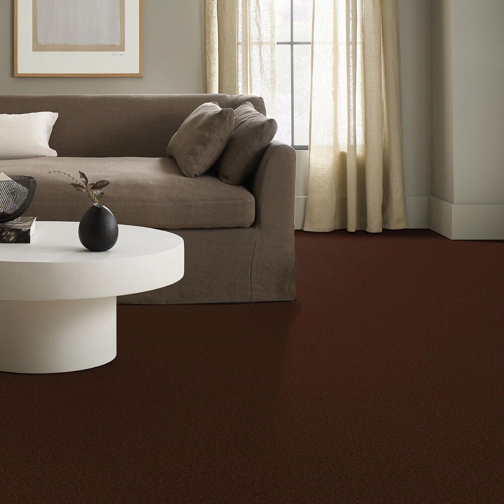 Anderson Tuftex Enduring Charm Carpet in Cinnabar, , large