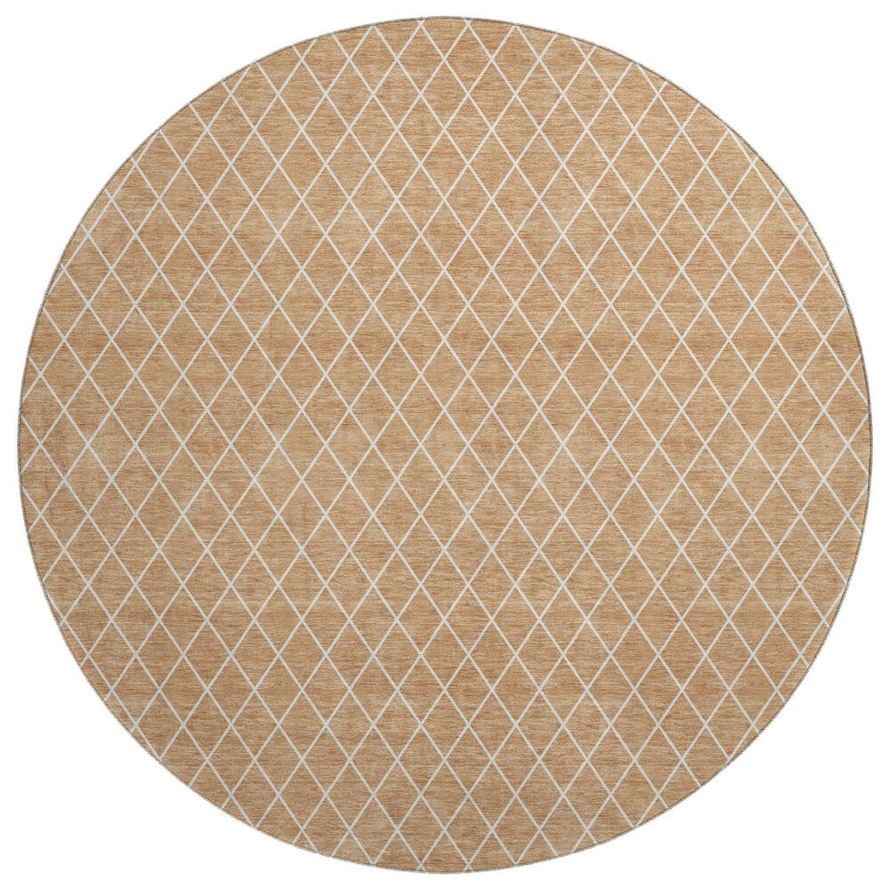 Dalyn Rug Company The Reserve TR15 Copper 8" Round Indoor/Outdoor Area Rug, , large