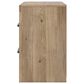 Ashley Brozmont Queen Panel Bed with Two Nightstands in Natural Brown, , large