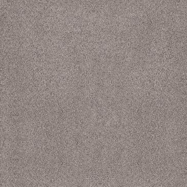 Anderson Tuftex Sumptuous Texture Carpet in Rustic Gray, , large