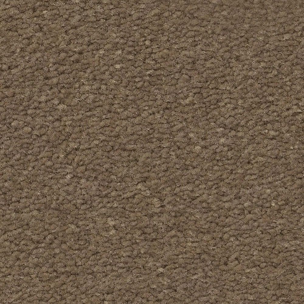 Anderson Tuftex Finery Carpet in Hawk, , large