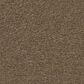 Anderson Tuftex Finery Carpet in Hawk, , large