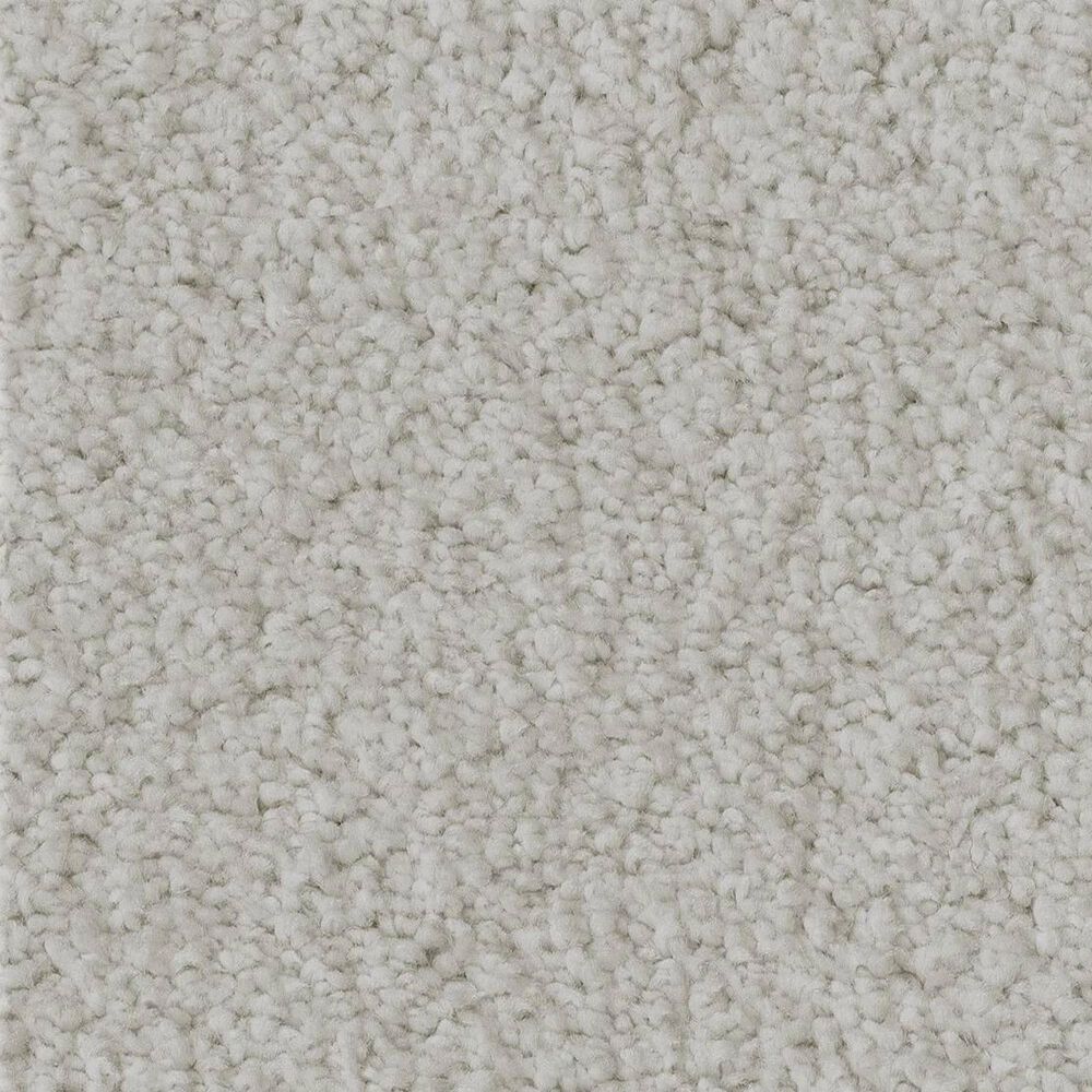 Anderson Tuftex Luxe Feel I Carpet in Folly, , large