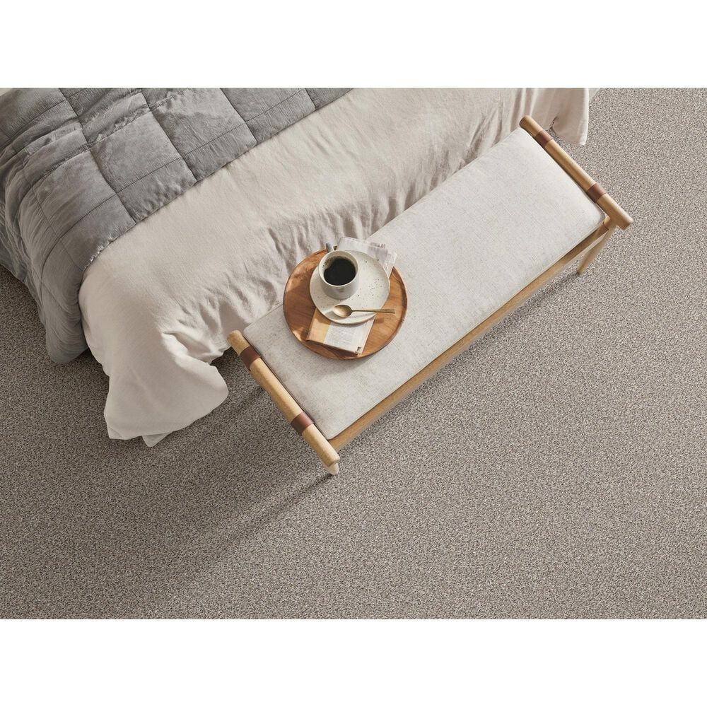 Shaw Comforting I Carpet in Rustic, , large