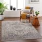 Surya Aida AAD-2311 7"10" x 9"8" Beige, Medium Gray, Tan, Ivory, Deep Teal and Charcoal Area Rug, , large