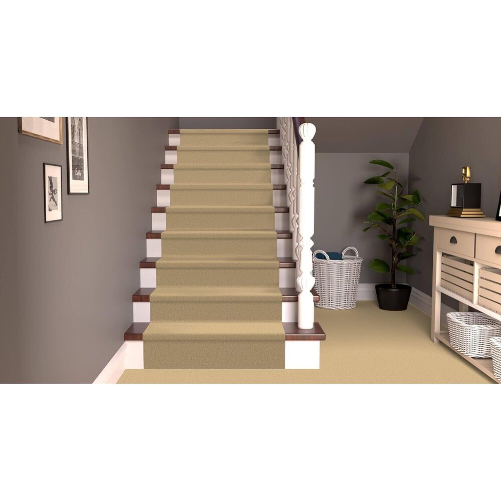 Masland Miami Carpet in Ambiance, , large
