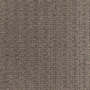 Dixie Home Sensible Carpet in Cobblestone, , large