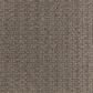 Dixie Home Sensible Carpet in Cobblestone, , large