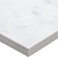 Soho Studio Marmi D"Italia Bianco Gioia 12" x 24" Polished Porcelain Tile, , large