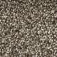 Lonesome Oak Divine Wind Carpet in Portal, , large