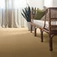 Anderson Tuftex New Tricks Carpet in Cork, , large