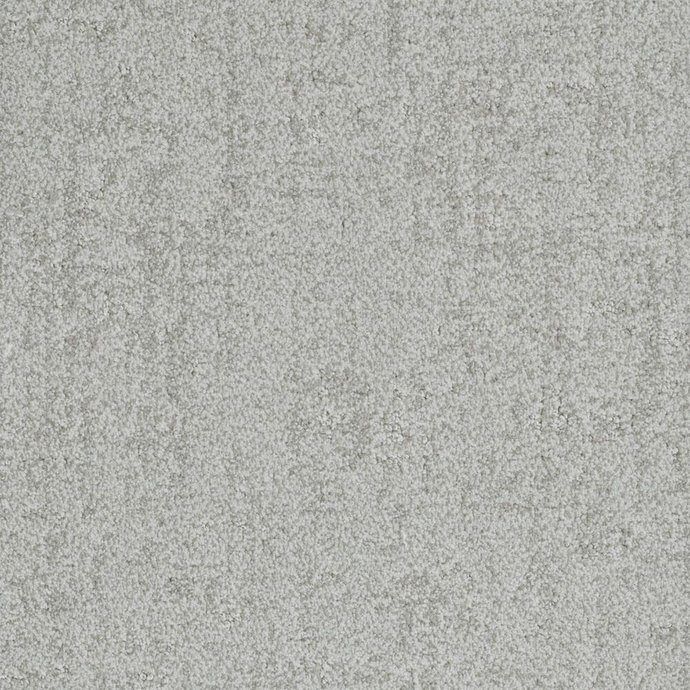 Dixie Home Genuine Carpet in Credible, , large